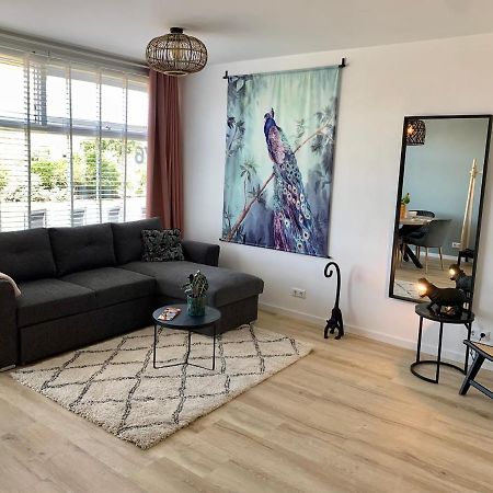 Amsterdam Beach Apartment 76 Zandvoort Eksteriør billede